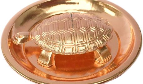 turtle lakshmi pooja