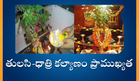 తులసి ధాత్రి వివాహం : Significance of Thulasi Vivah