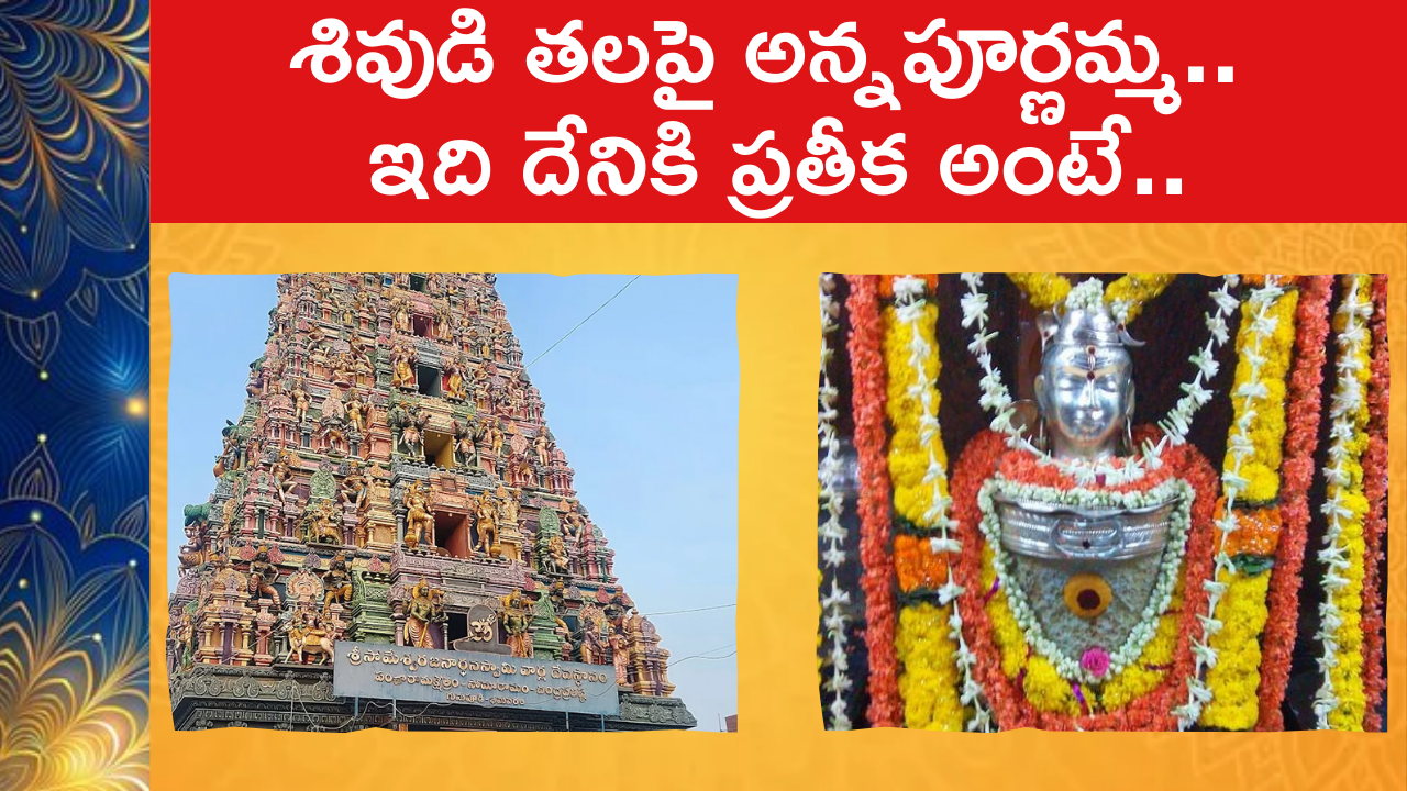 Annapurna Devi on Lord Shiva's head 