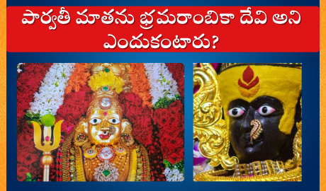 Bhramarambika Devi story