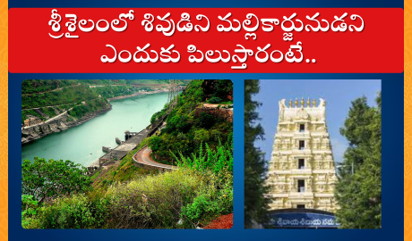 Why Lord Shiva called Mallikarjuna