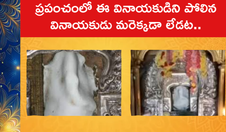 Unique Lord Ganesh Idol : ప్రపంచంలో ఈ వినాయకుడిని పోలిన వినాయకుడు మరెక్కడా లేడట..