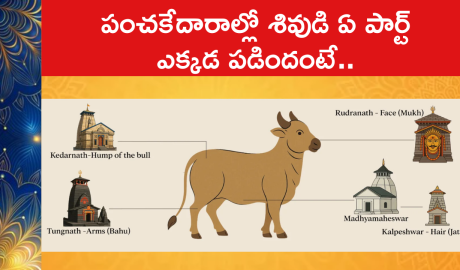 Sacred Story of Panch Kedar : పంచకేదారాల్లో శివుడి ఏ పార్ట్ ఎక్కడ పడిందంటే..