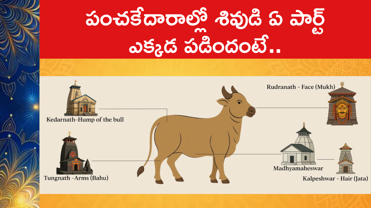 Sacred Story of Panch Kedar : పంచకేదారాల్లో శివుడి ఏ పార్ట్ ఎక్కడ పడిందంటే..