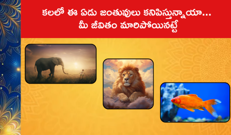 Spiritual Meaning Of Animals In Dreams