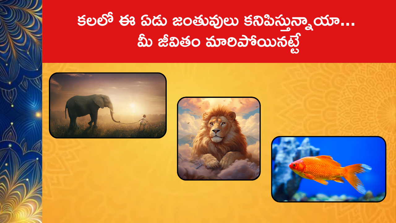 Spiritual Meaning Of Animals In Dreams