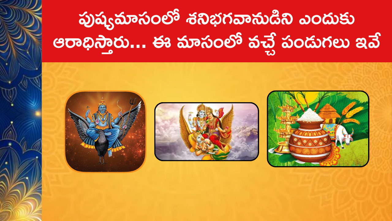 Significance of Pushya Masam : పుష్యమాసంలో శనిభగవానుడిని ఎందుకు ఆరాధిస్తారు... ఈ మాసంలో వచ్చే పండుగలు ఇవే