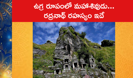 Rudranath Trek Uttarakhand