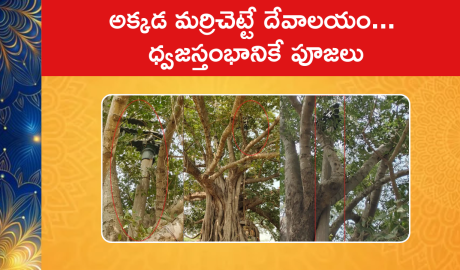Banyan Tree Protected Dhwajasthambam