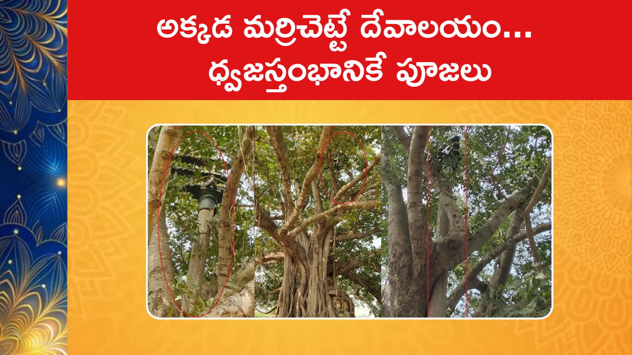 Banyan Tree Protected Dhwajasthambam 