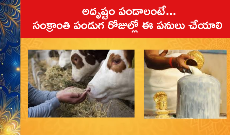Get Good Luck On Sankranti :