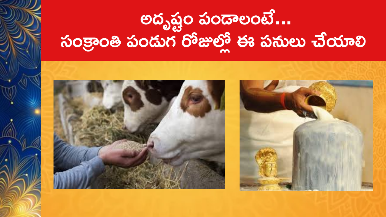 Get Good Luck On Sankranti :