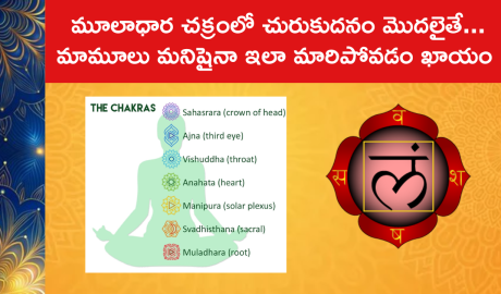 If Muladhara Chakra Activates