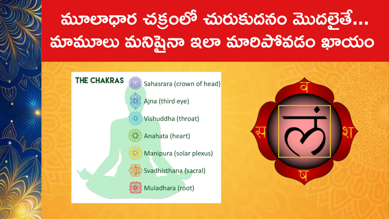 If Muladhara Chakra Activates 