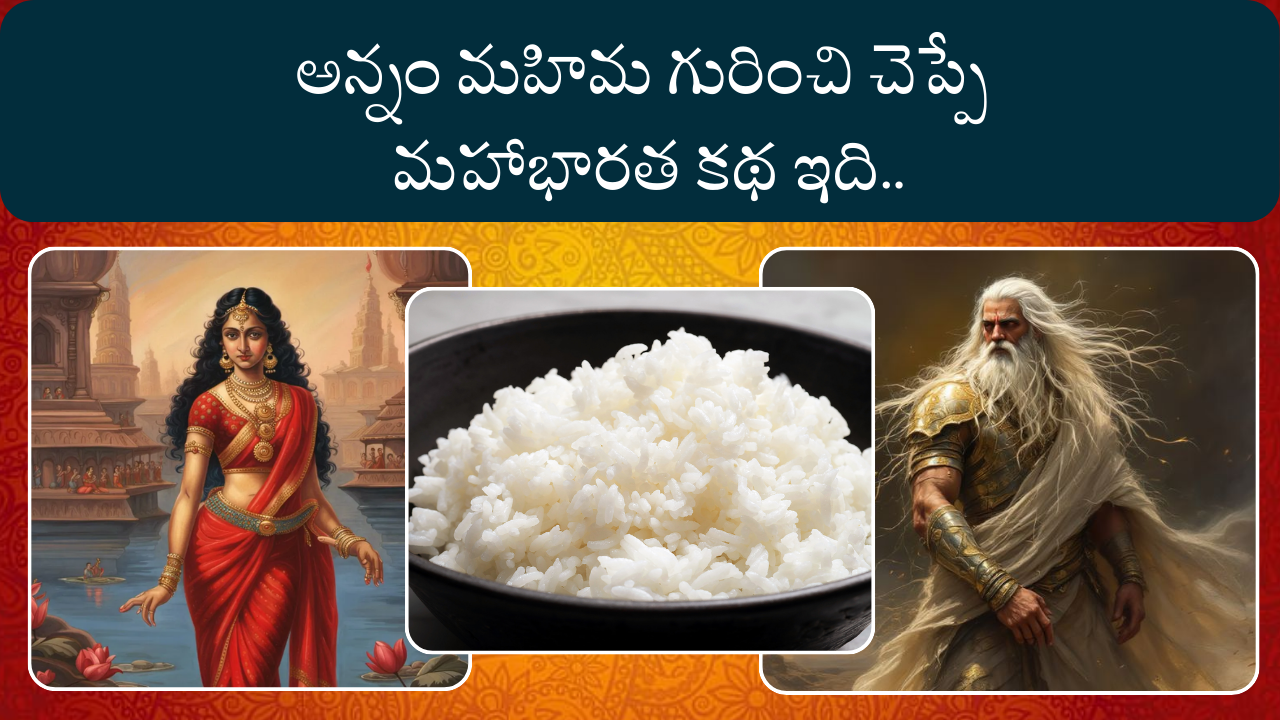 Importance Of Rice