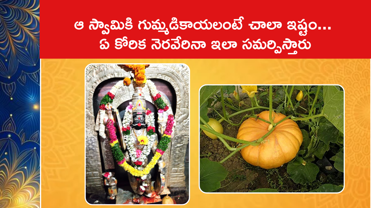 Secret Behind Pumpkin Offering