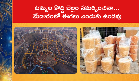 Tons of Jaggery but NO Flies