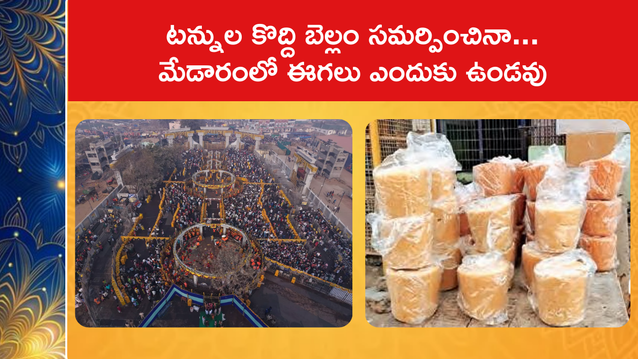 Tons of Jaggery but NO Flies