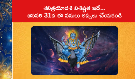 What should be avoided on Shani Trayodashi