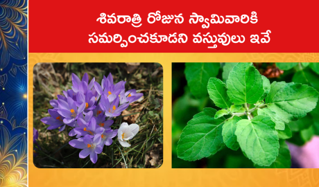 Avoid these offerings on Shivratri