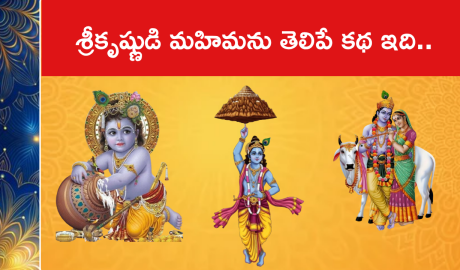 శ్రీకృష్ణుడి మహిమను తెలిపే కథ ఇది..