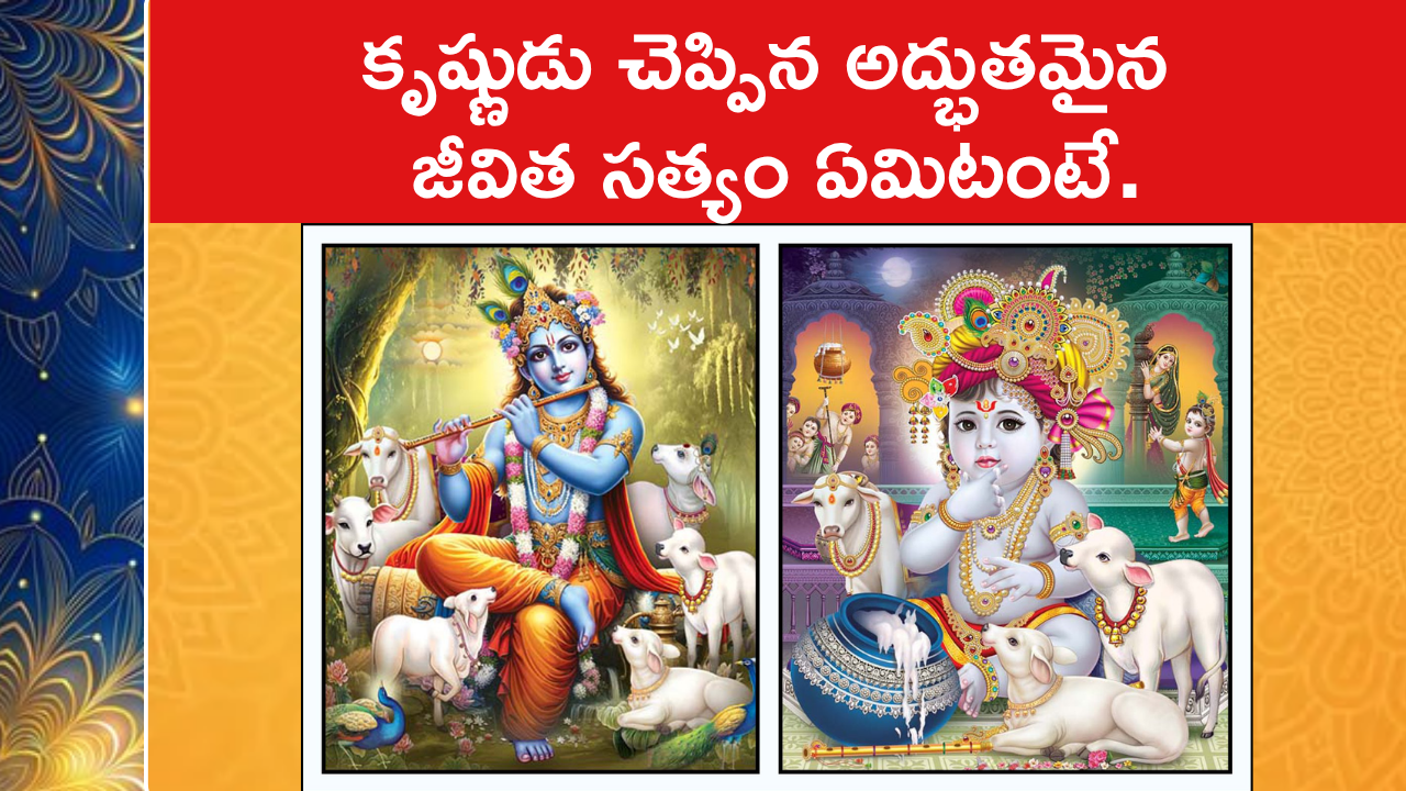 కృష్ణుడు చెప్పిన అద్భుతమైన జీవిత సత్యం ఏమిటంటే.