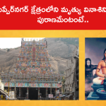తిరుప్పేర్‌నగర్ క్షేత్రంలోని మృత్యు వినాశిని తీర్థం స్థల పురాణమేంటంటే..