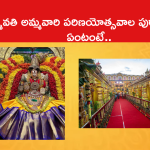 శ్రీ పద్మావతి అమ్మవారి పరిణయోత్సవాల పురాణ ప్రాశస్త్యం ఏంటంటే..