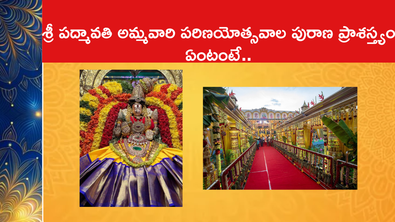 శ్రీ పద్మావతి అమ్మవారి పరిణయోత్సవాల పురాణ ప్రాశస్త్యం ఏంటంటే..