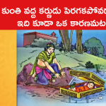 కుంతి వద్ద కర్ణుడు పెరగకపోవడానికి ఇది కూడా ఒక కారణమట..