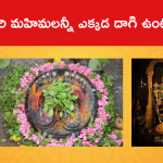 శ్రీవారి మహిమలన్నీ ఎక్కడ దాగి ఉంటాయంటే..