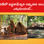 భారత్‌లో ఇష్టకామేశ్వరి అమ్మవారి ఆలయం ఎక్కడుందంటే..