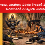 పూజలు, పరిహారాల ఫలితం కొందరికి వెంటనే... మరికొందరికి ఆలస్యంగా ఎందుకు?