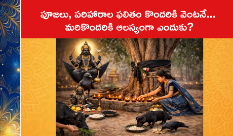 పూజలు, పరిహారాల ఫలితం కొందరికి వెంటనే... మరికొందరికి ఆలస్యంగా ఎందుకు?