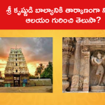 శ్రీ కృష్ణుడి బాల్యానికి తార్కాణంగా నిలిచే ఆలయం గురించి తెలుసా?