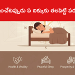 నిద్రించేటప్పుడు ఏ దిక్కుకు తలపెట్టి పడుకోవాలి?