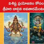 విశిష్ట ప్రయోజనం కోసం శ్రీహరి దాల్చిన అవతారమేంటంటే..