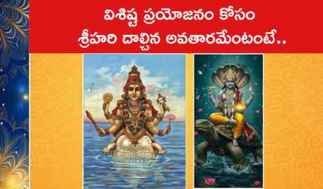 విశిష్ట ప్రయోజనం కోసం శ్రీహరి దాల్చిన అవతారమేంటంటే..