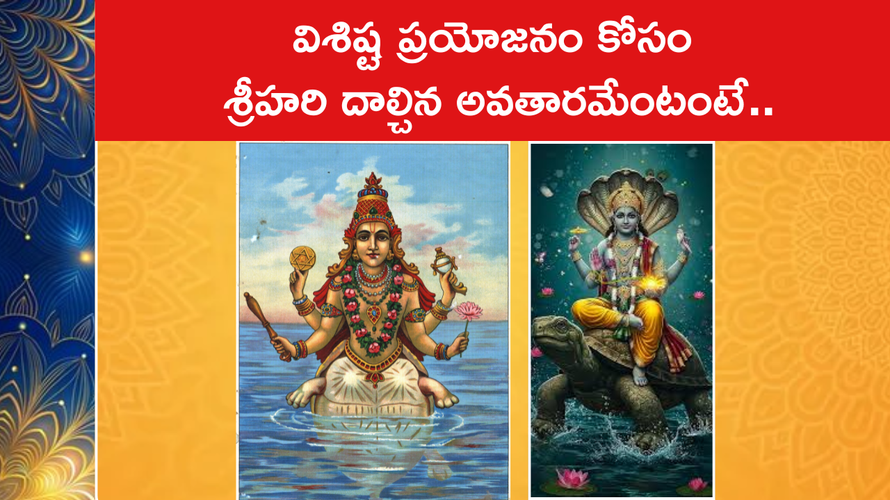 విశిష్ట ప్రయోజనం కోసం శ్రీహరి దాల్చిన అవతారమేంటంటే..