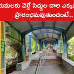తిరుమలకు వెళ్లే సిద్దుల దారి ఎక్కడి నుంచి ప్రారంభమవుతుందంటే..
