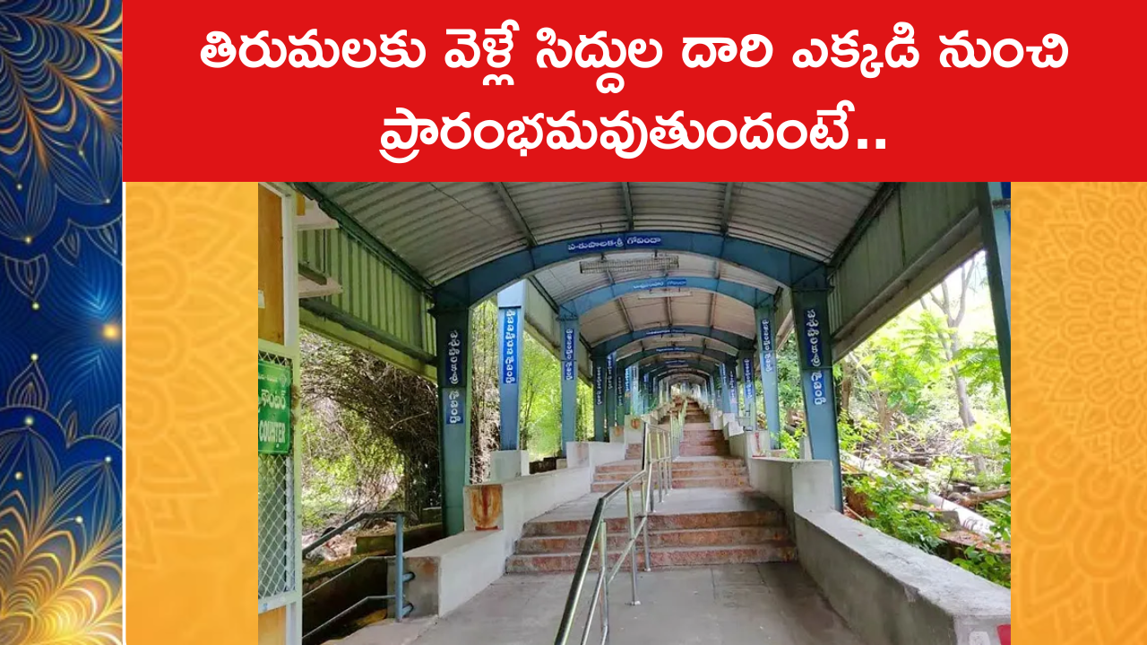 తిరుమలకు వెళ్లే సిద్దుల దారి ఎక్కడి నుంచిప్రారంభమవుతుందంటే..
