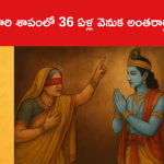 గాంధారి శాపంలో 36 ఏళ్ల వెనుక అంతరార్థమేంటంటే..