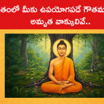 జీవితంలో మీకు ఉపయోగపడే గౌతమ బుద్ధుని అమృత వాక్కులివే..