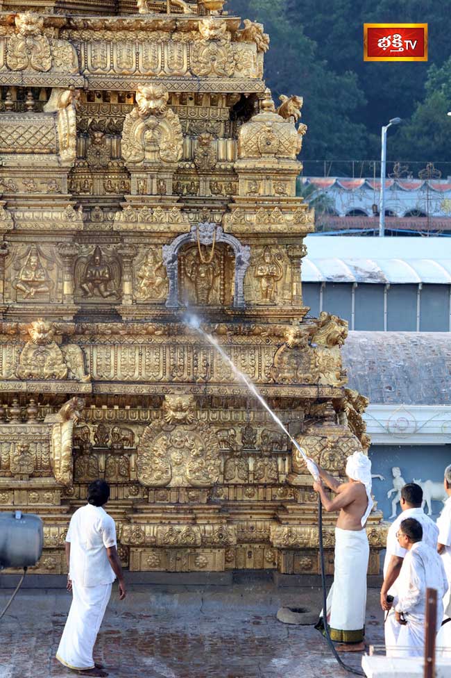 Koil-Alwar-Thirumanjanam-4