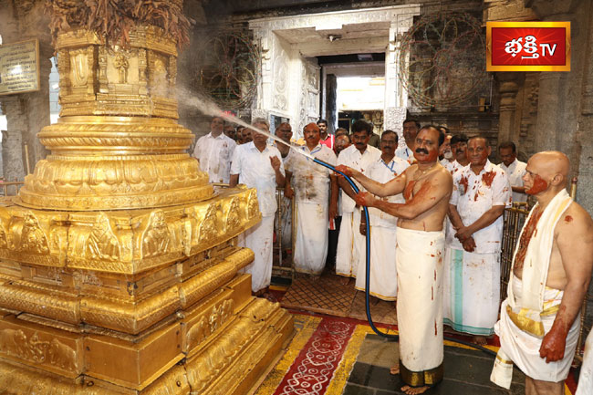 Koil-Alwar-Thirumanjanam-5